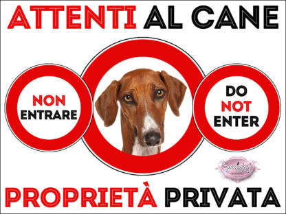 TARGA ATTENTI AL CANE - AZAWAKH