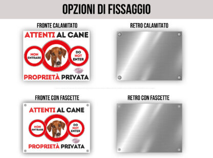 TARGA ATTENTI AL CANE - AZAWAKH - immagine 2