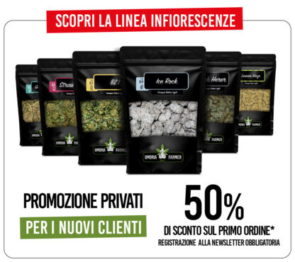 PROMO 50% - INFIORESCENZE