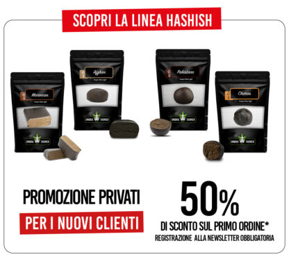 PROMO 50% - HASHISH